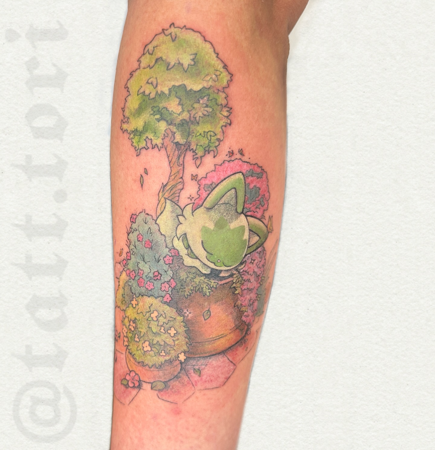 Frog and potted plants watercolor tattoo on the forearm by 𝔱𝔬𝔯𝔦