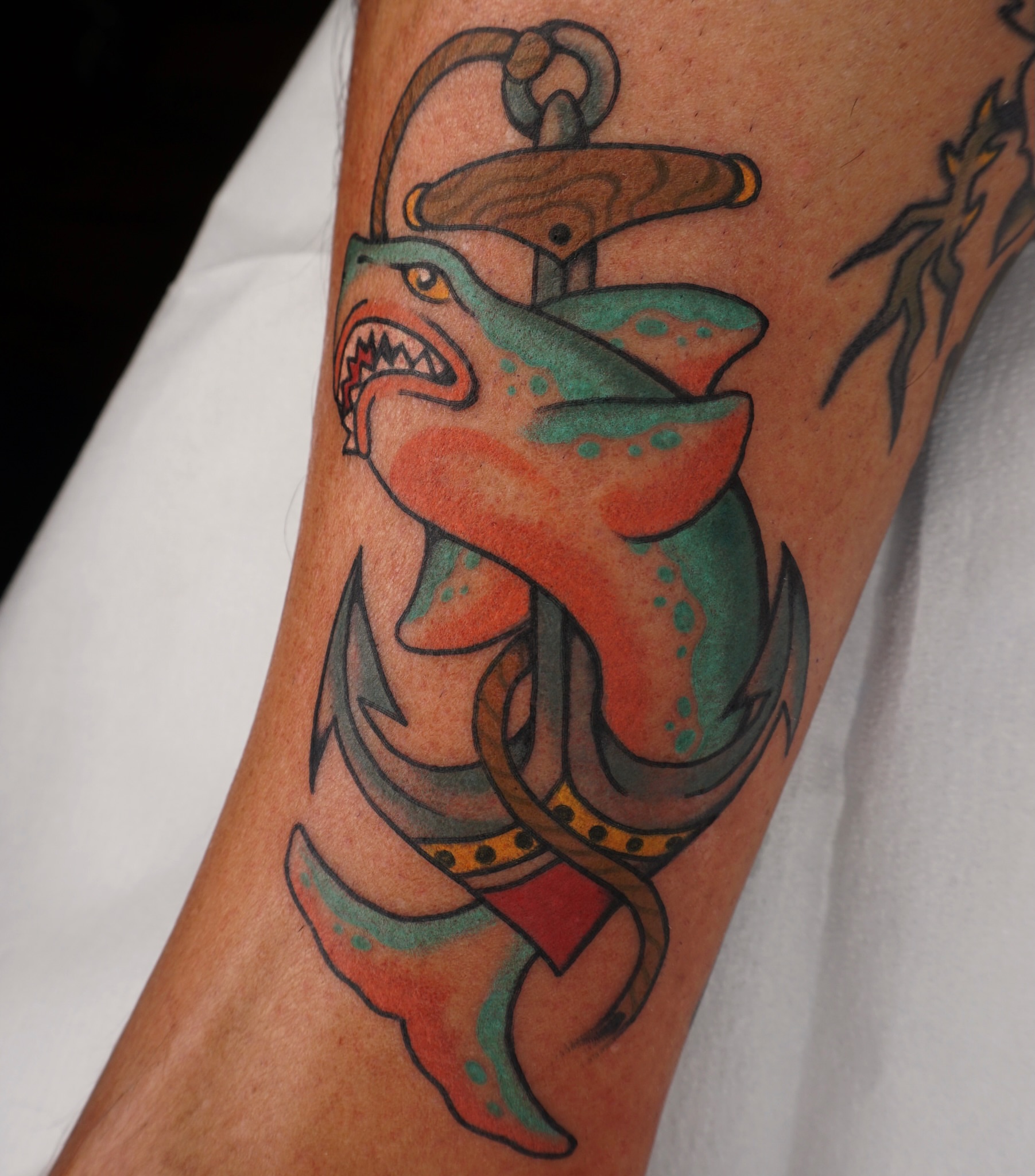 Shark and anchor American traditional tattoo on the forearm by Sarah Christine Tattoo, Calgary, Alberta