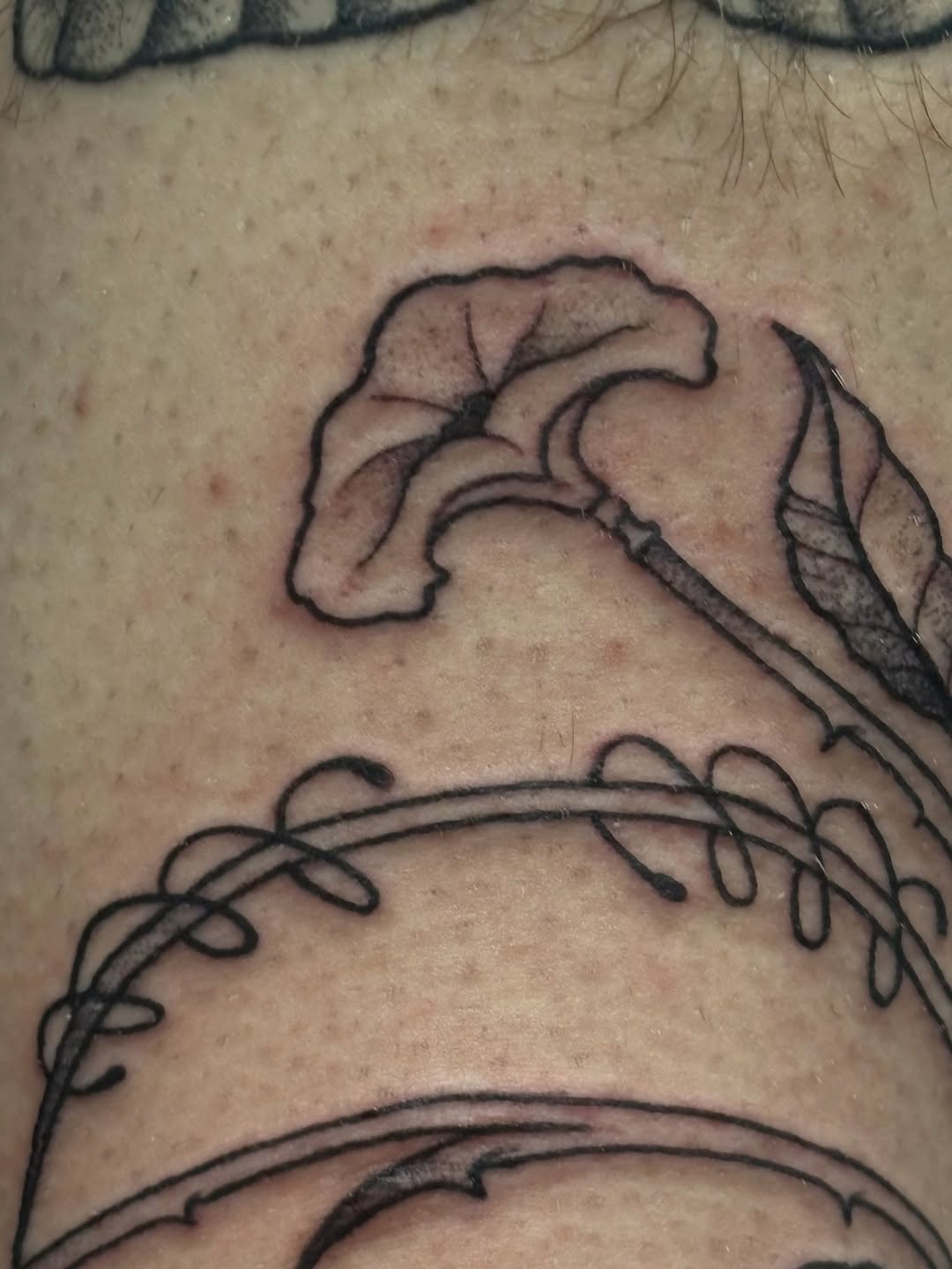 Tattoo by @ares_rhodestattoo — fine_line, black_and_grey