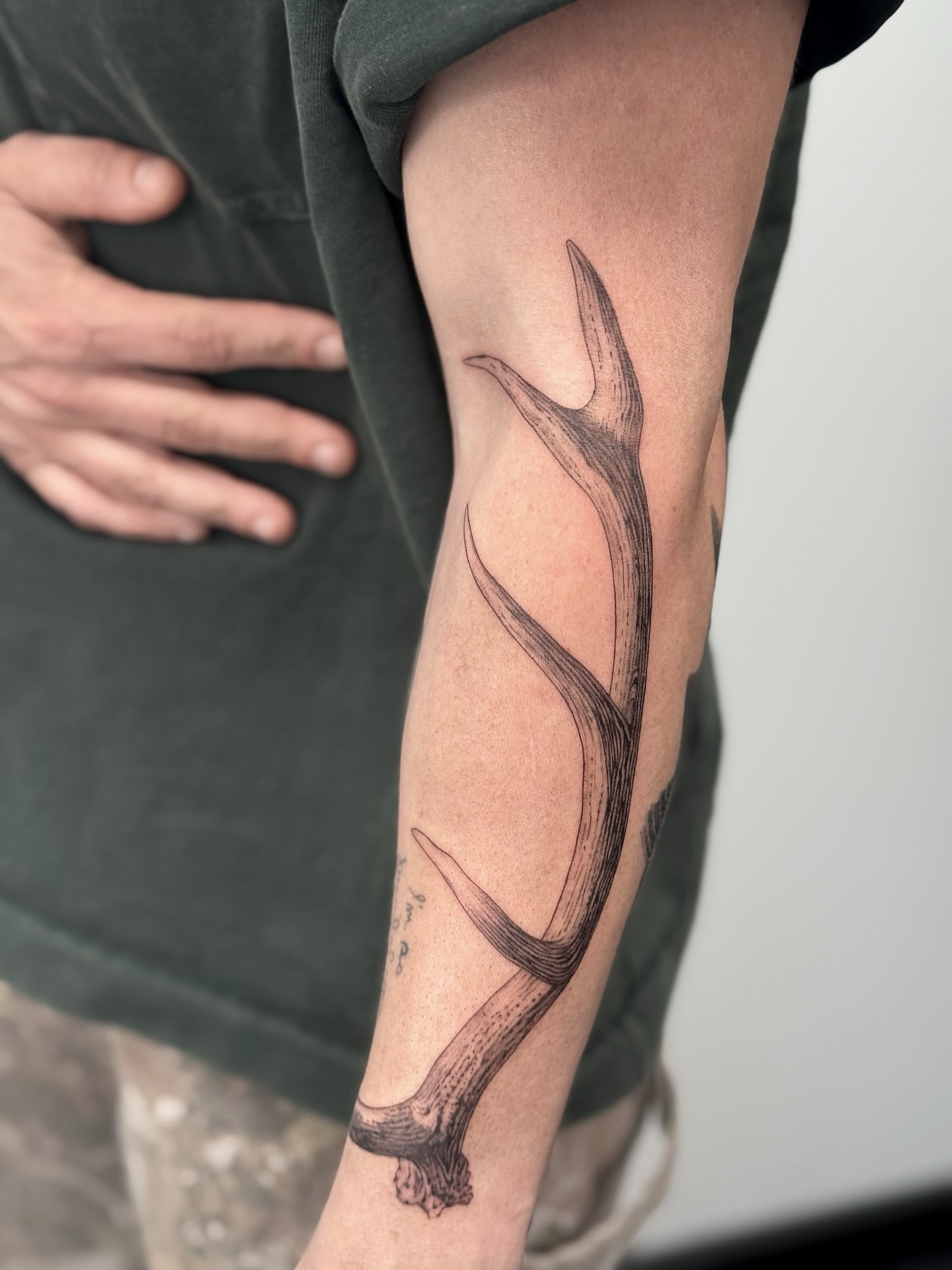 Antlers black and grey tattoo on the forearm by Lea Burkard, Berkeley, California