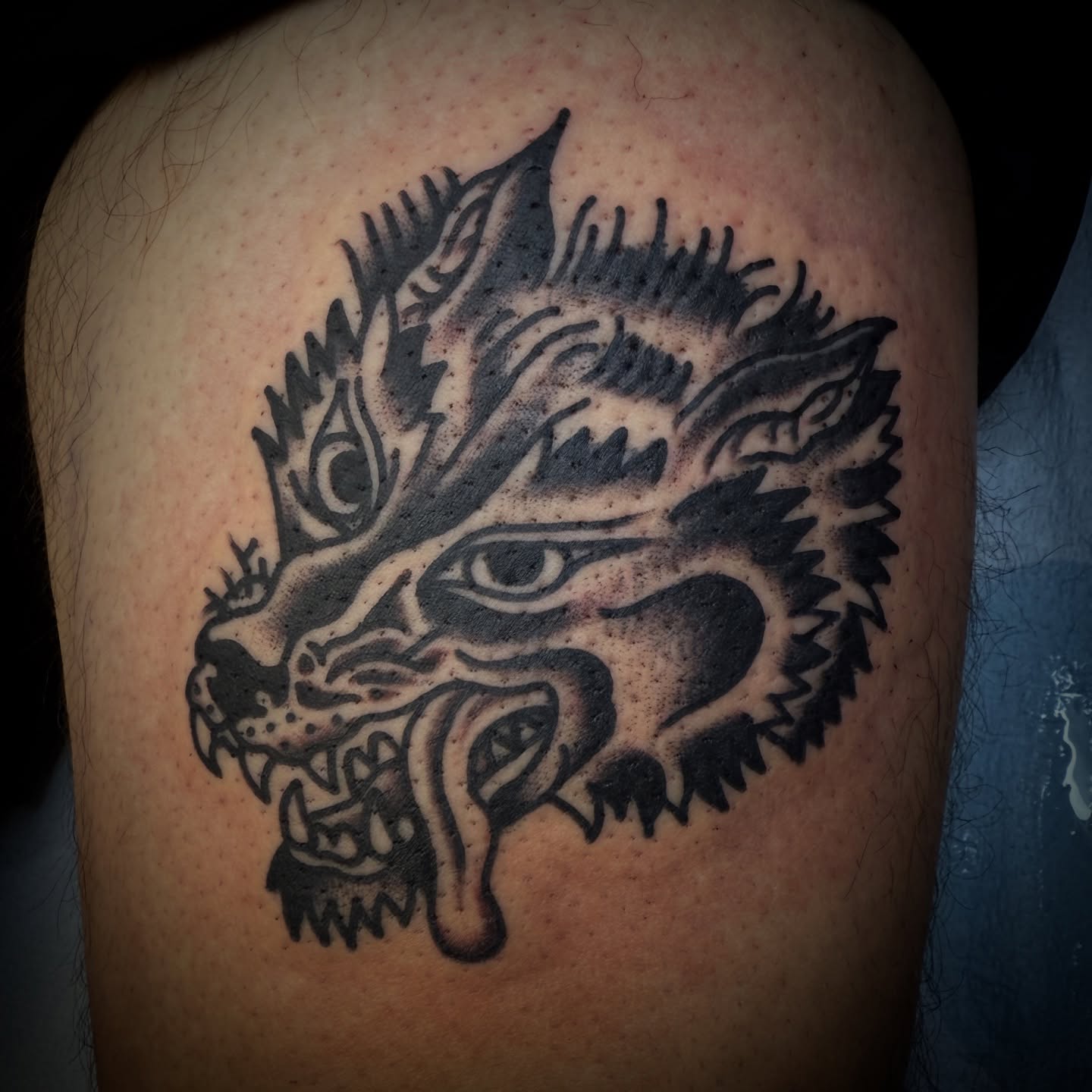 Wolf head American traditional tattoo on the shoulder by Chuck Paprocki, Nashville, Tennessee