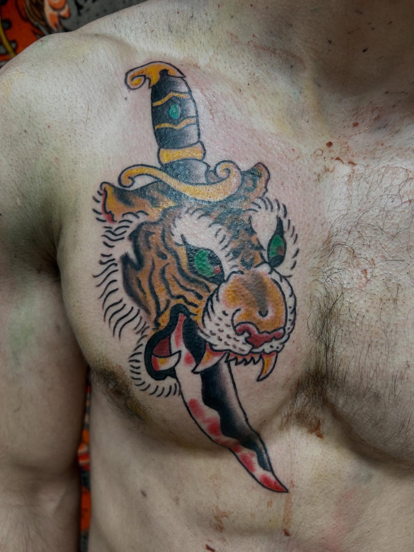 Tiger and dagger American traditional tattoo on the chest by Stogie Tony