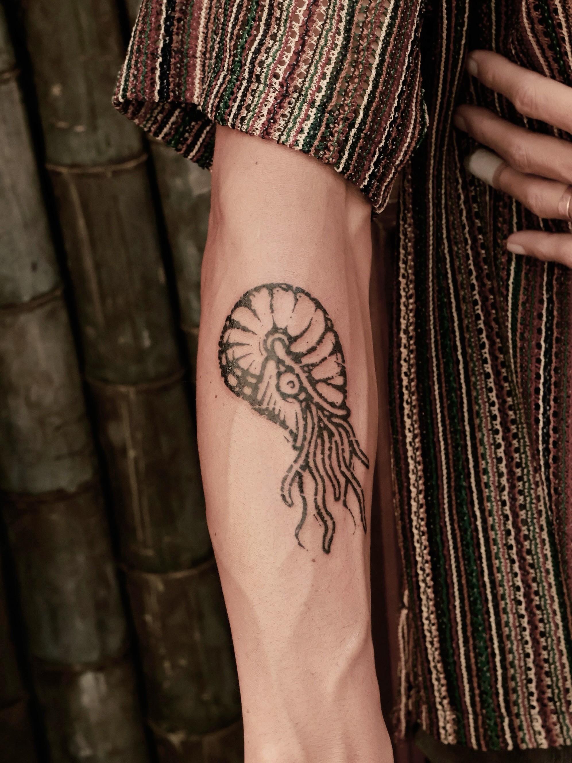Nautilus shell black and grey tattoo on the forearm by ✥台南木兆刺青✥𝕸𝖔𝕸𝖔𝕿𝖆𝖙𝖙𝖔𝖔
