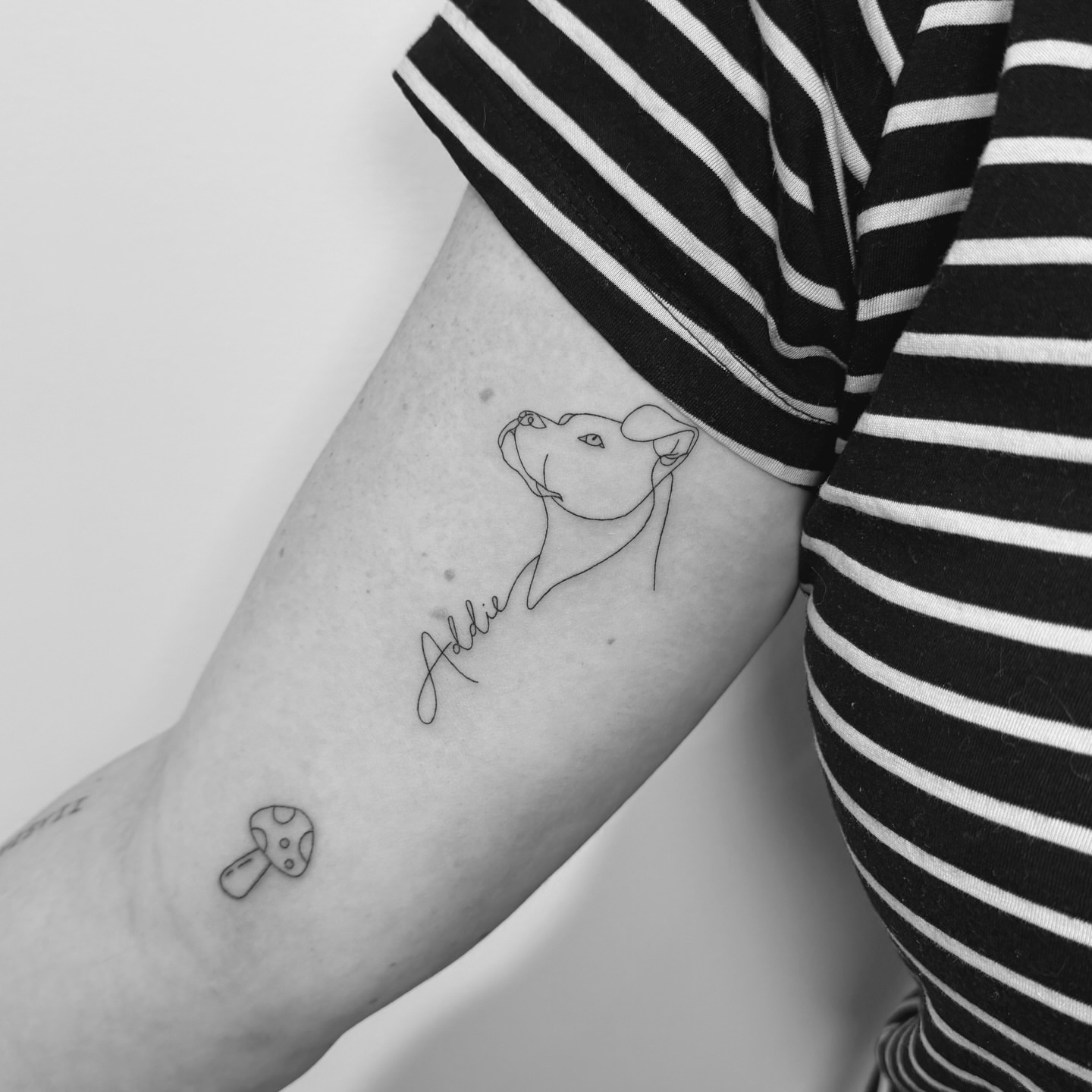 Dog profile fine line tattoo on the forearm by Jessica, Cheektowaga, New York