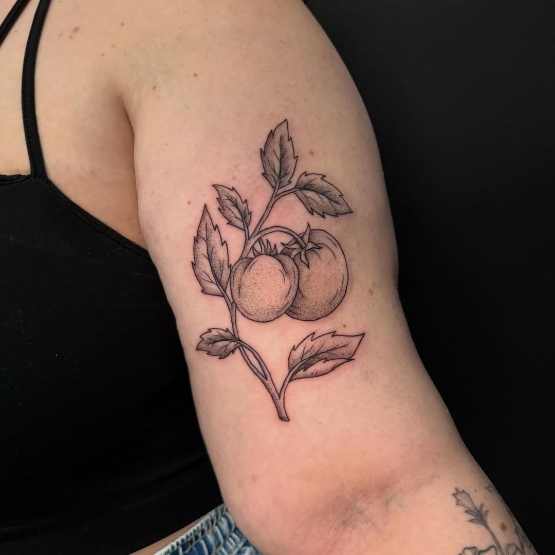 Tomato plant minimalist tattoo on the forearm by Felicity