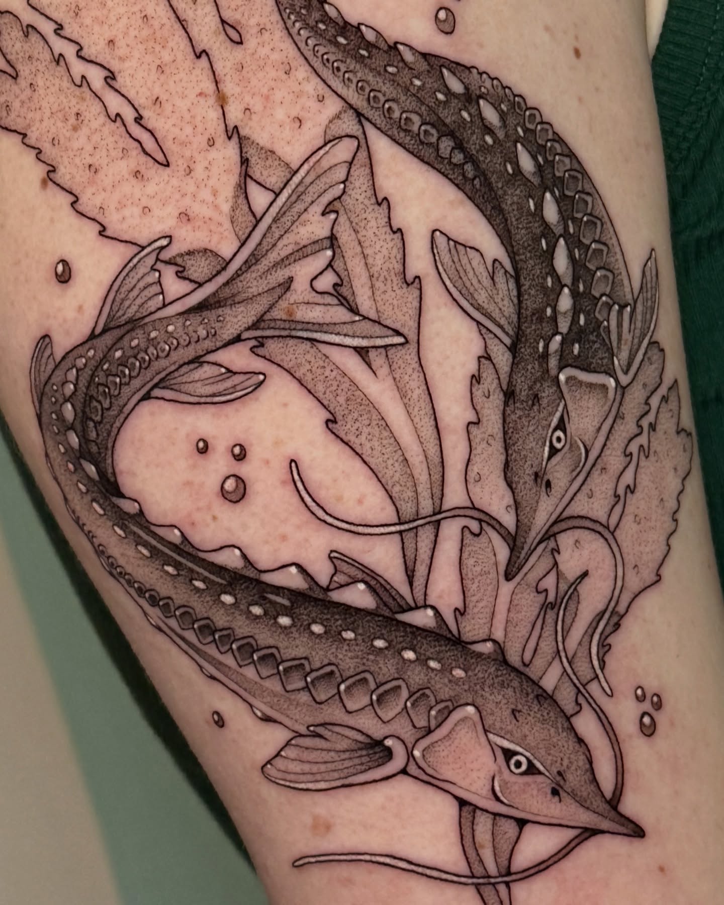 Tattoo by @deerbatstats — dotwork, realism