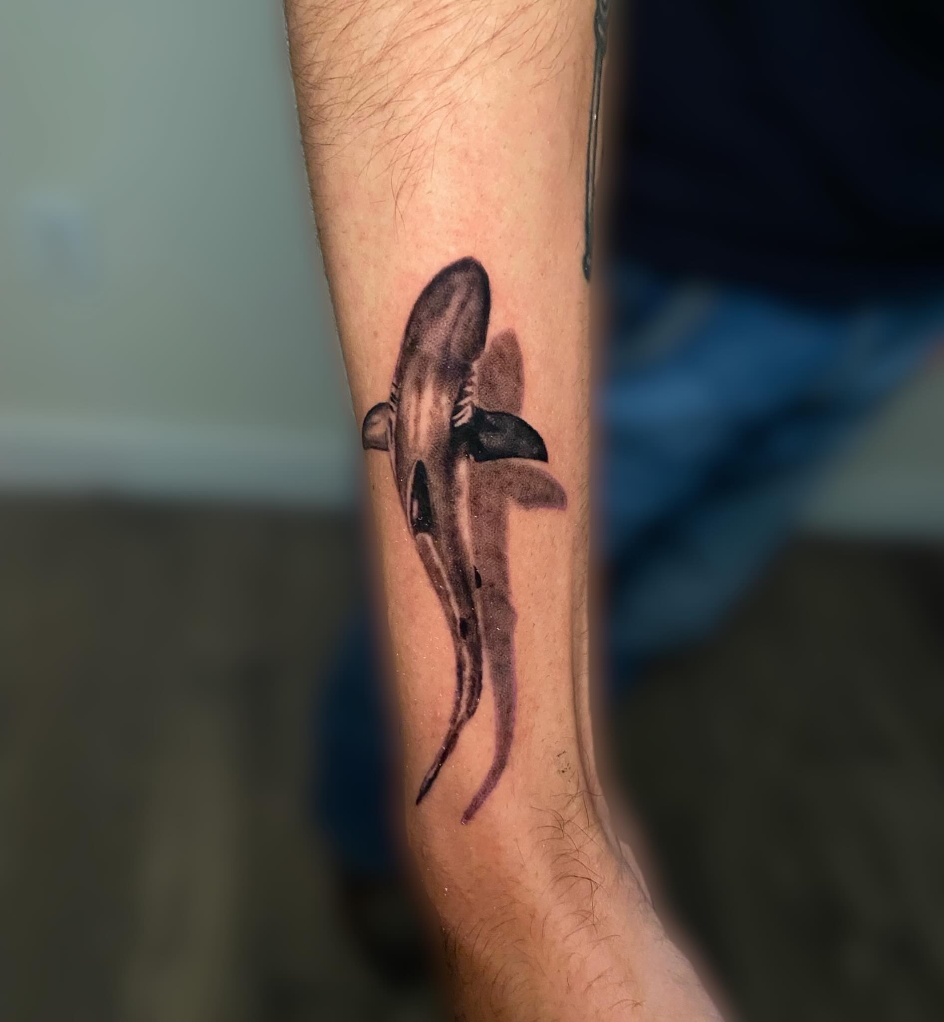 Shark realism tattoo on the forearm by Ezra Gonda