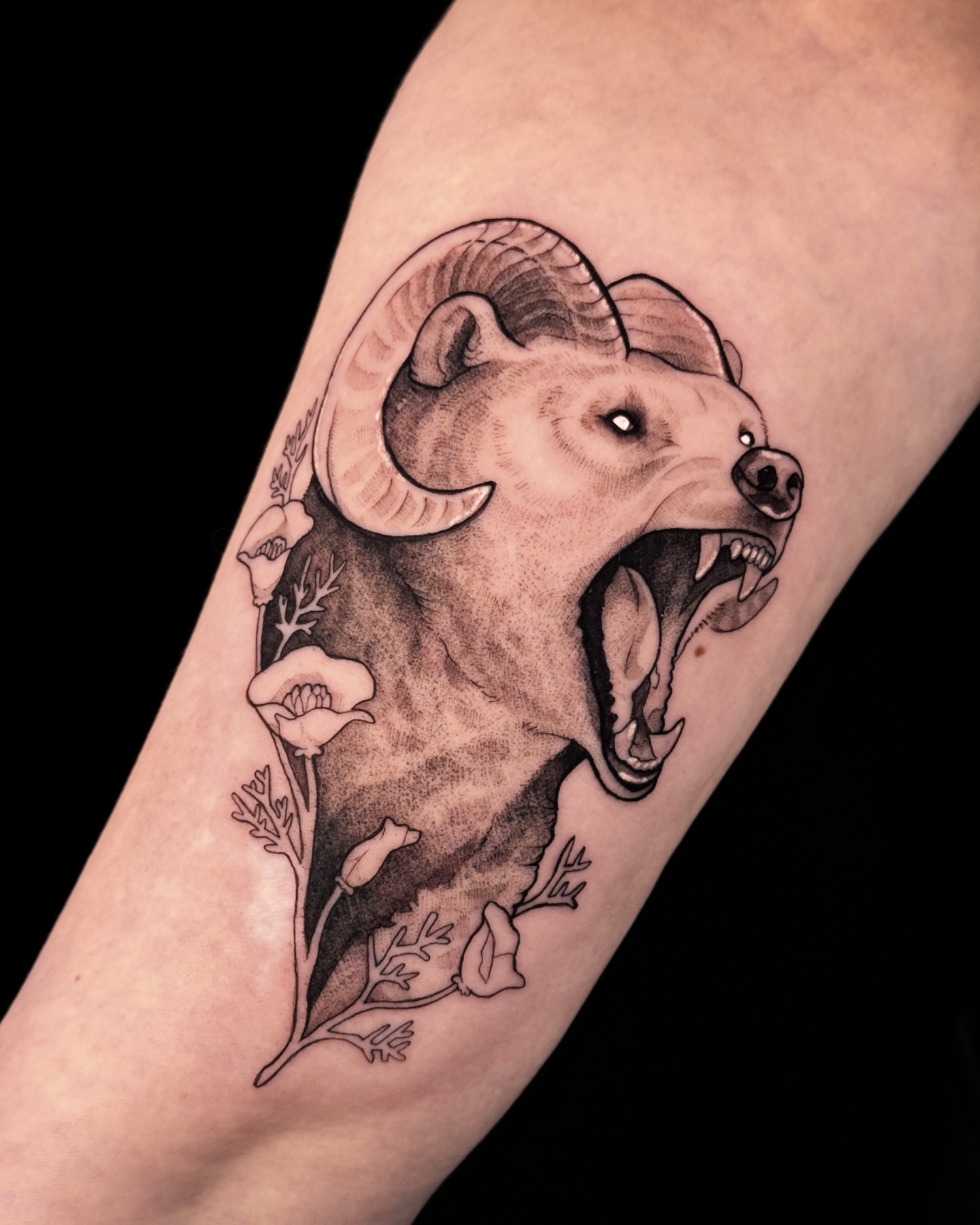Ram head black and grey tattoo on the forearm by Yasemin πΉπ·π¬π§ San Jose based tattoo artist