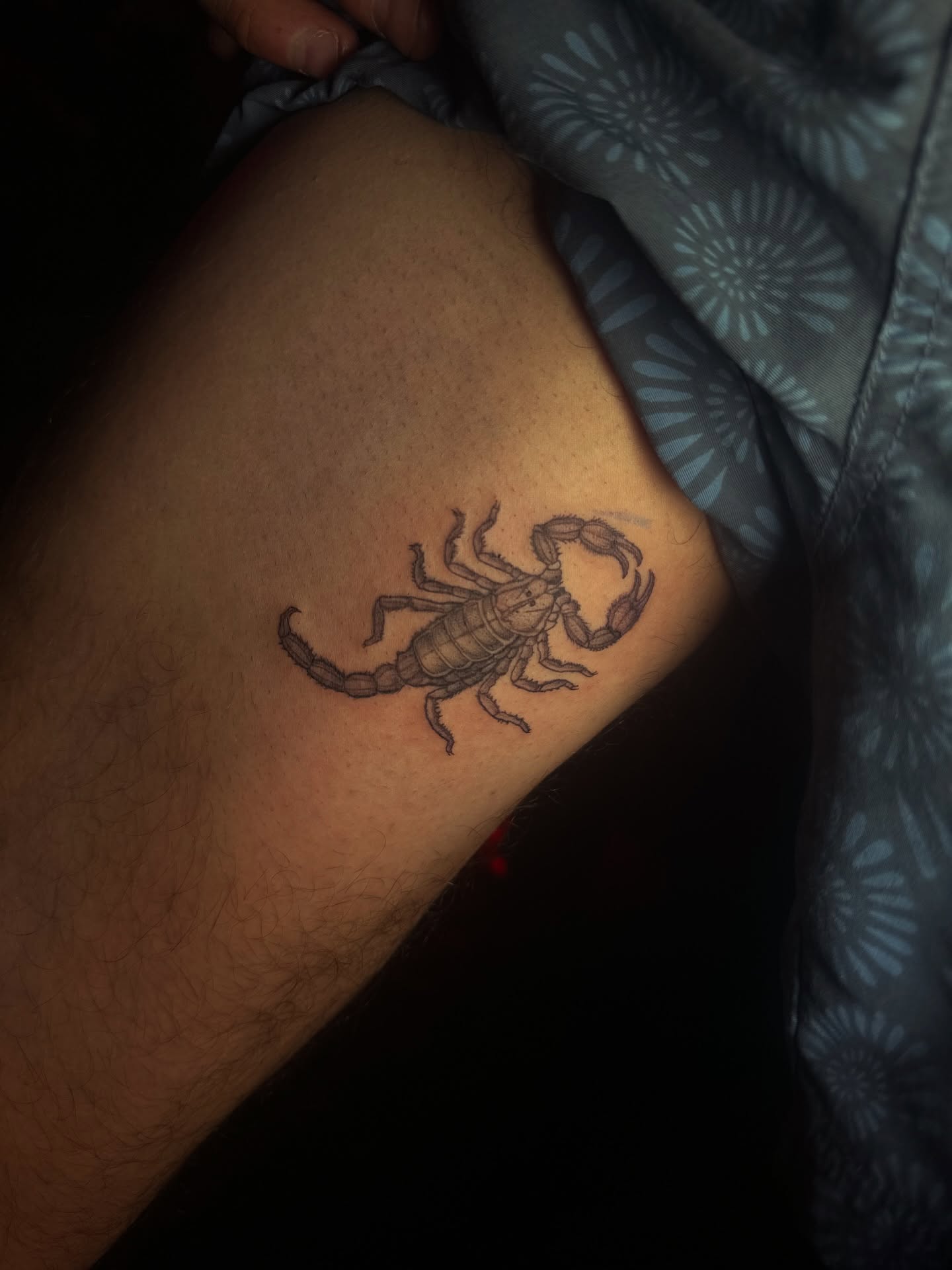 Scorpion black and grey tattoo on the forearm by Lunette : a little moon as simple as that