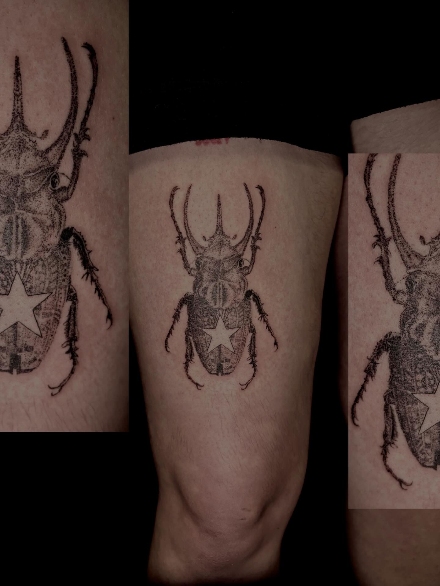 Stag beetle dotwork tattoo on the forearm by Dev