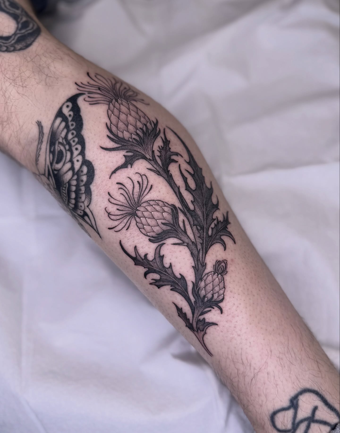 Thistle black and grey tattoo on the forearm by Jena Perry