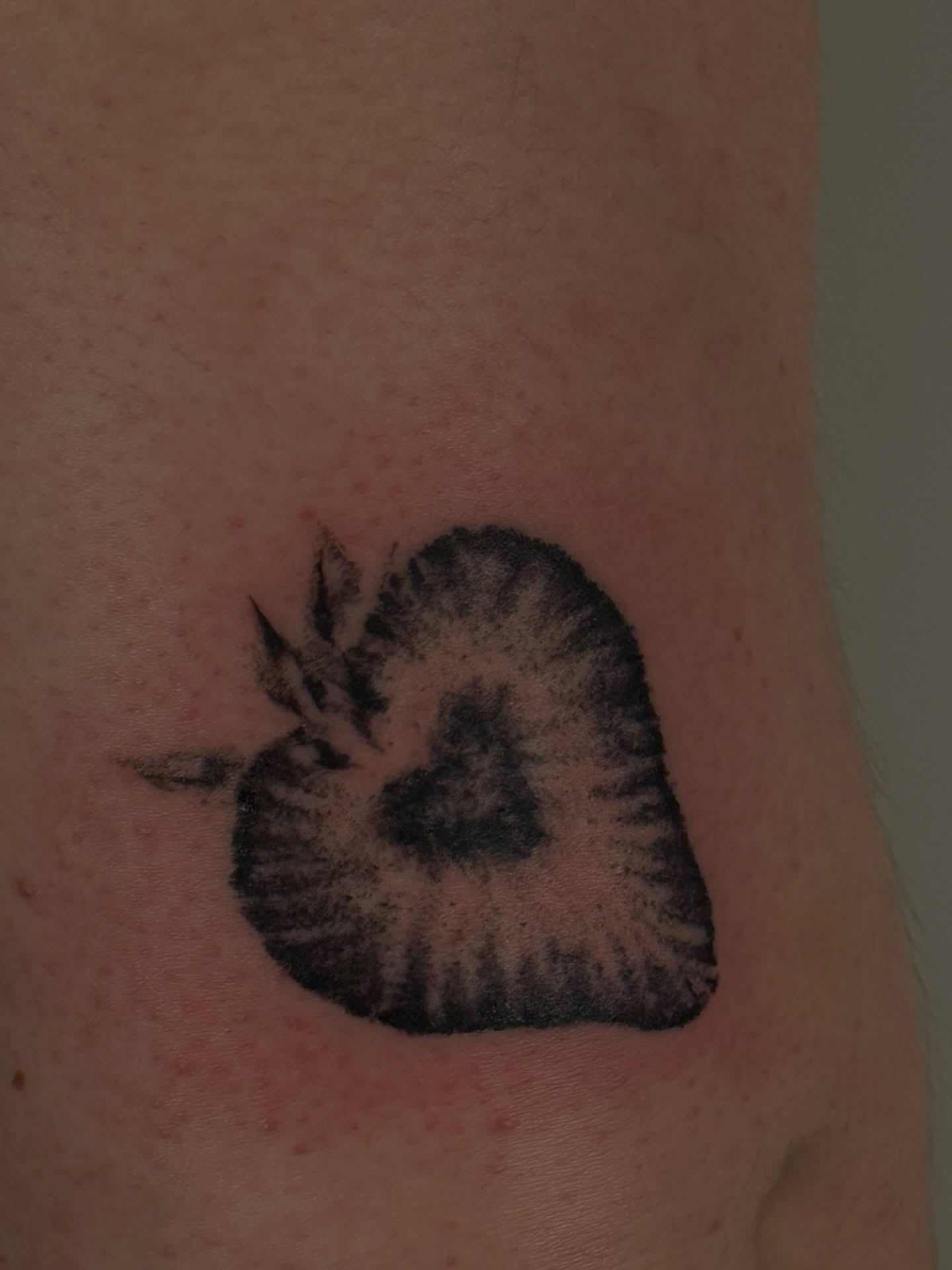 Tattoo by @greenwood.tattoo — black_and_grey