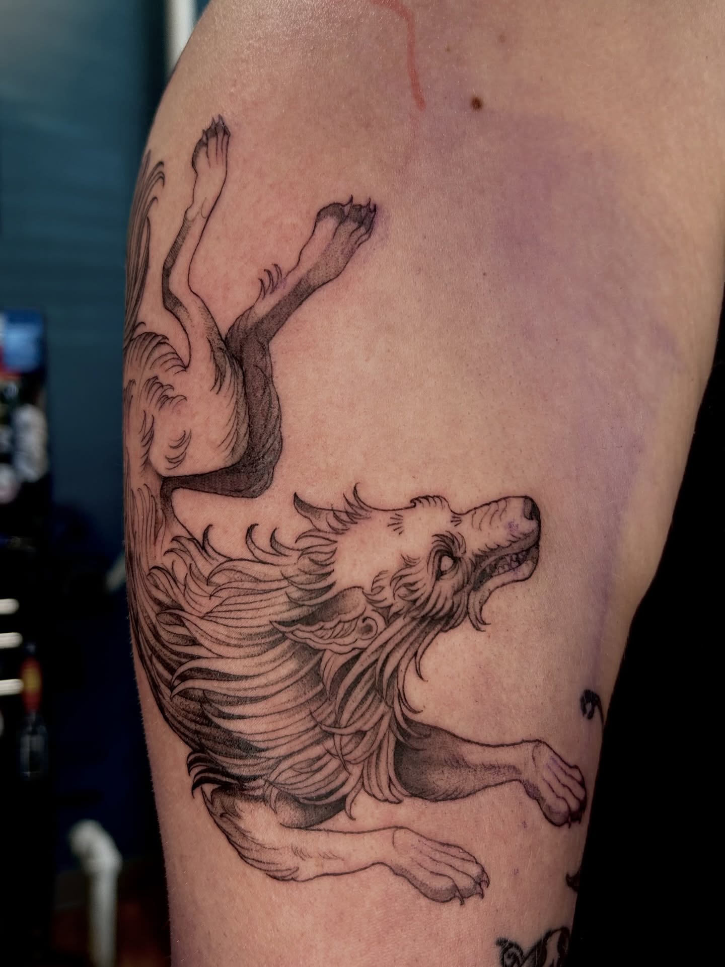 Tattoo by @thecursedmagus — black_and_grey