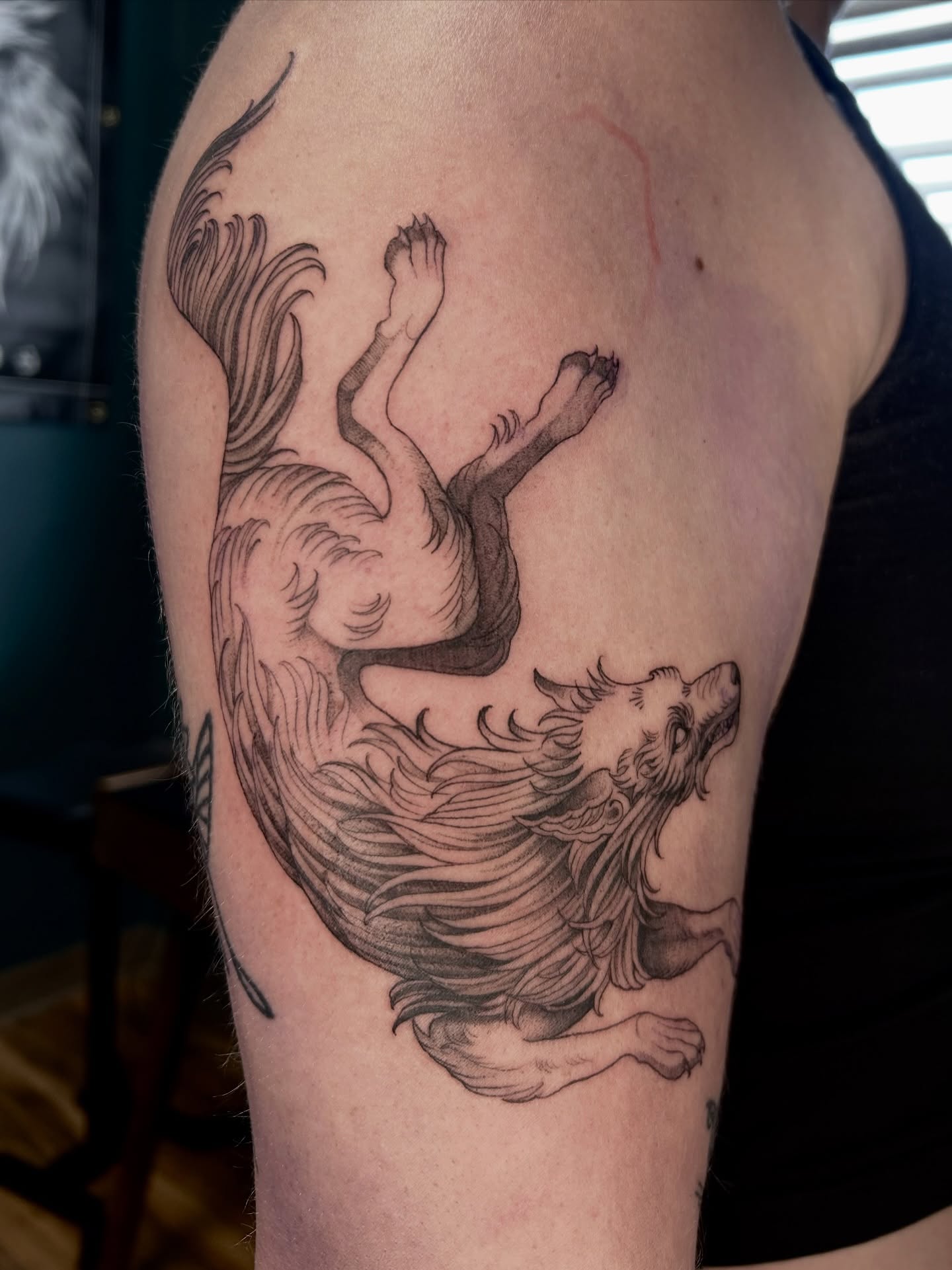 Wolf black and grey tattoo on the forearm by Magnus
