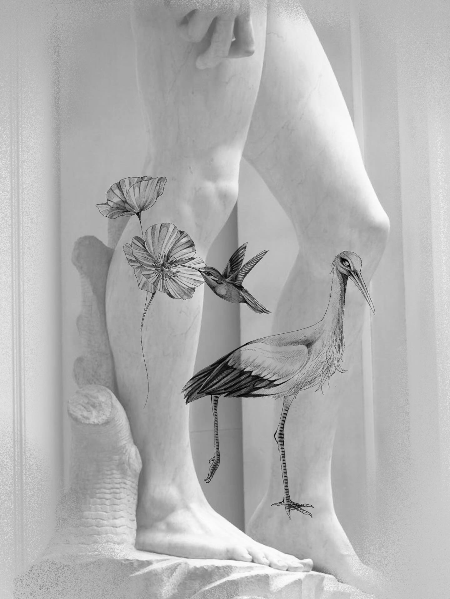 Bird and hummingbird realism tattoo on the leg by Isabelle Kellar, San Diego, California