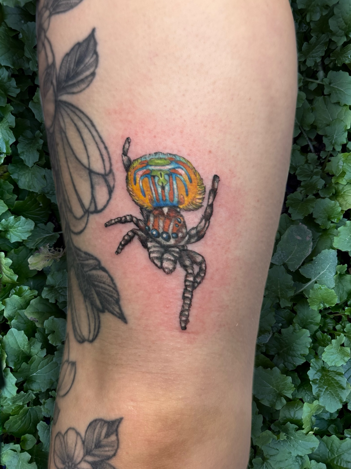 Tattoo by @moggtattoo β realism