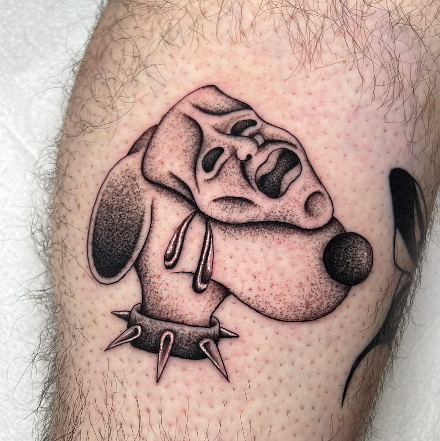 Bulldog American traditional tattoo on the forearm by David Delacruz