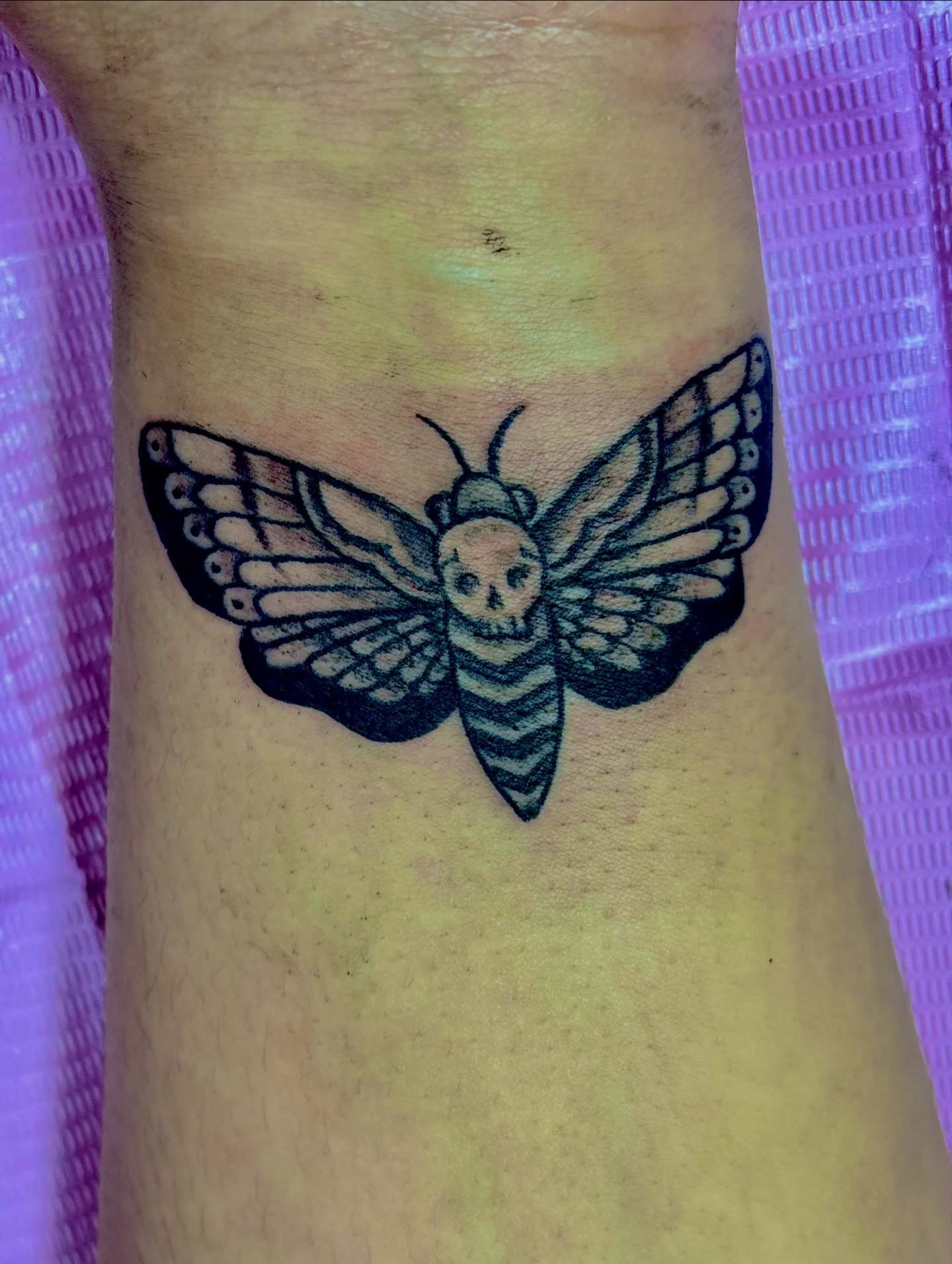 Moth black and grey tattoo on the forearm by Tessahwessah 🧞‍♀️
