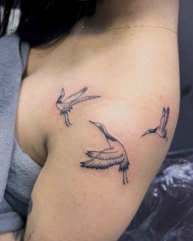 Cranes black and grey tattoo on the chest by Asap tattoo