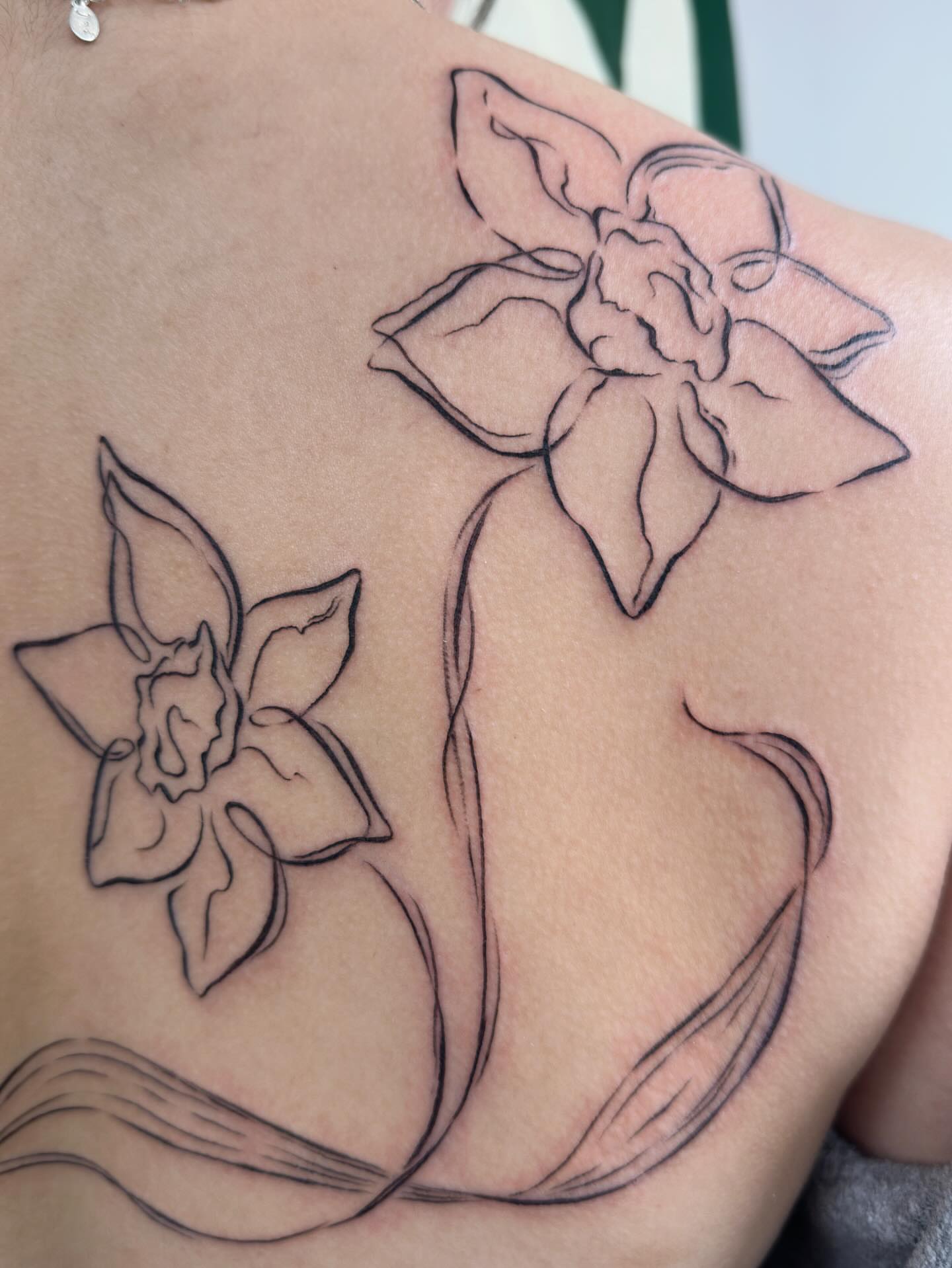 Daffodil black and grey tattoo on the shoulder by gabrielle rosemary ποΈ