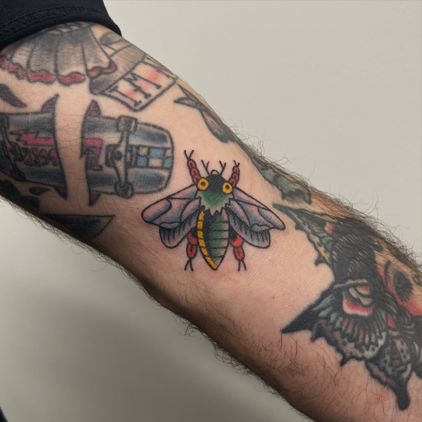 Moth American traditional tattoo on the forearm by Tawni Bender