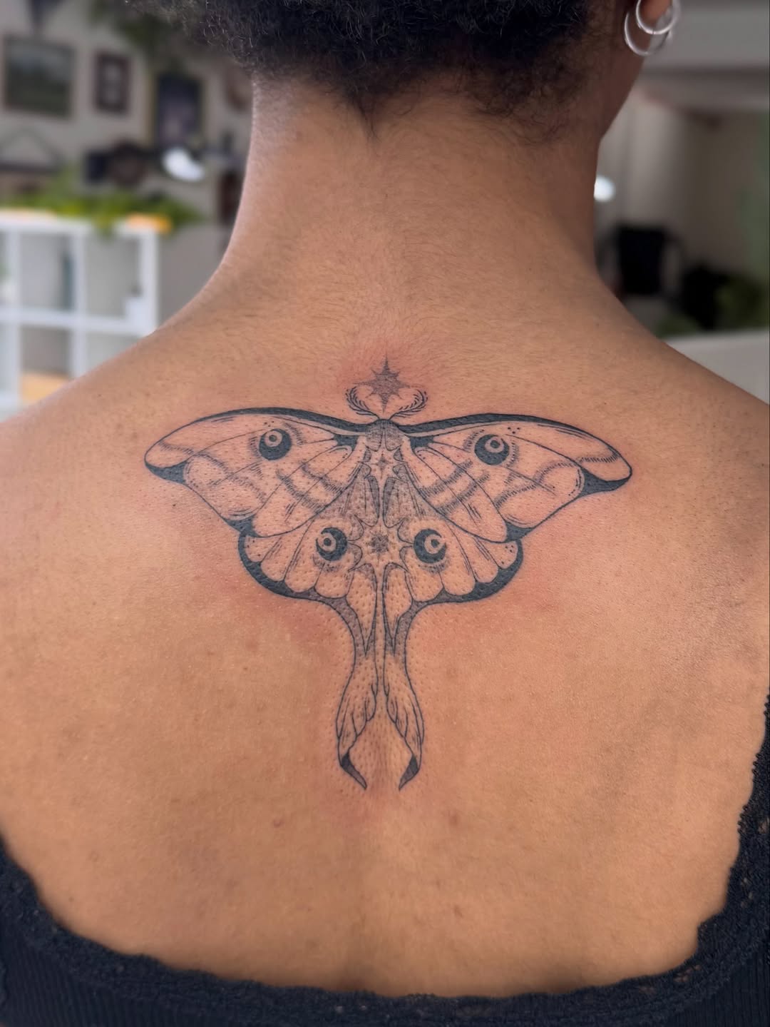 Tattoo by @mollyjonestattoo — fine_line, black_and_grey