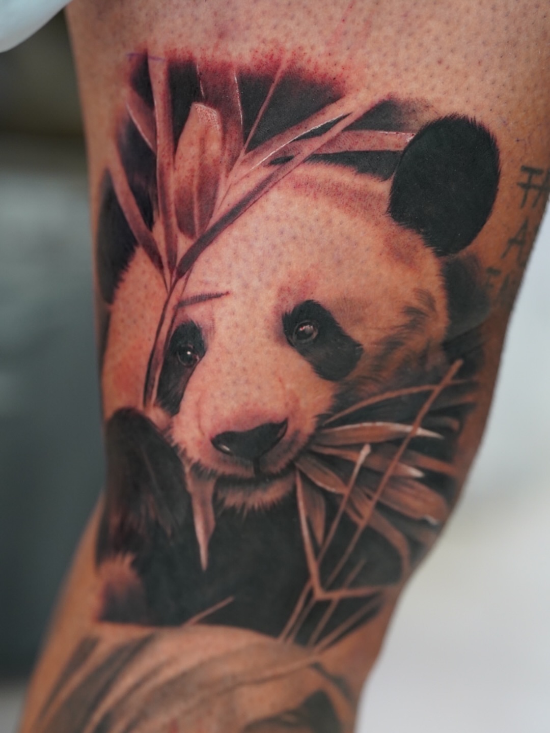 Panda realism tattoo on the forearm by Luis Rodriguez