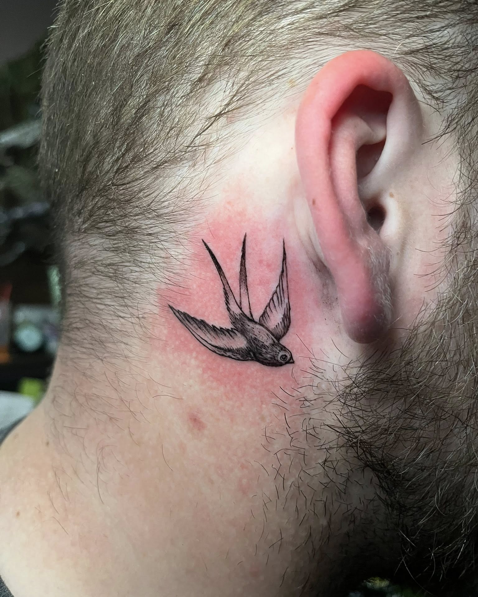 Swallow black and grey tattoo on the neck by SJ