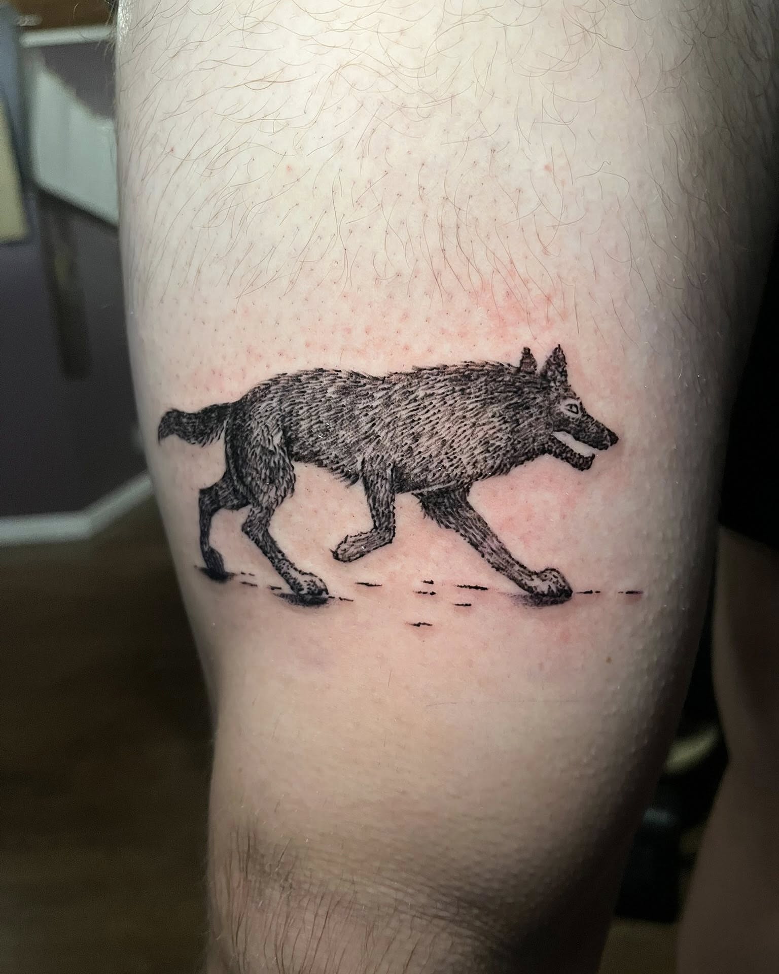 Wolf dotwork tattoo on the forearm by SJ