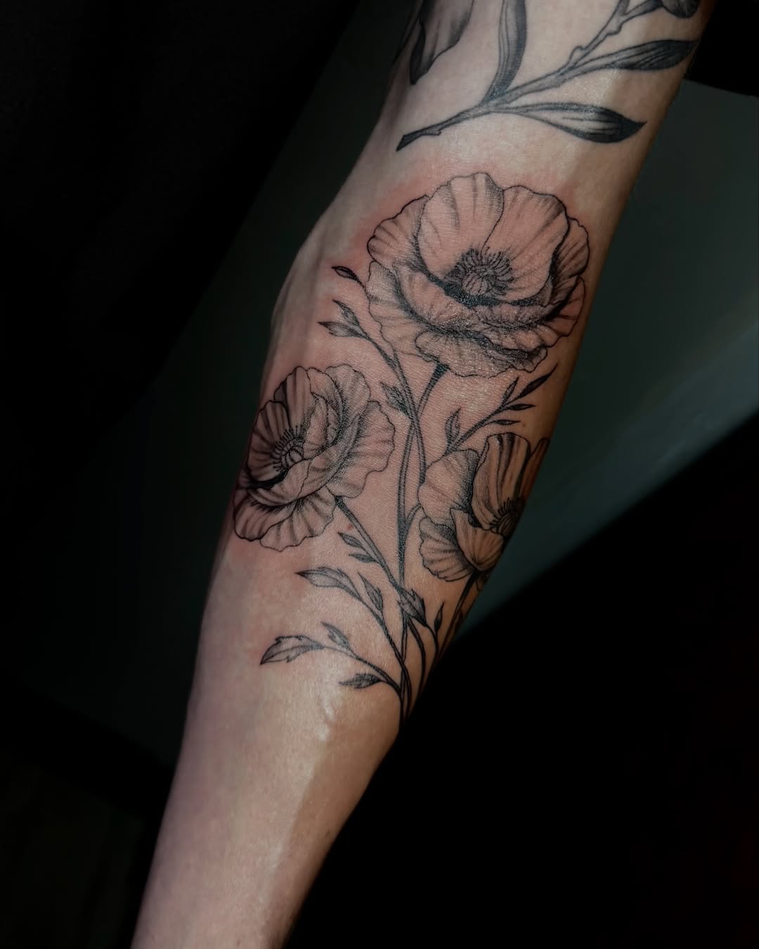 Poppies dotwork tattoo on the forearm by jayla pantig