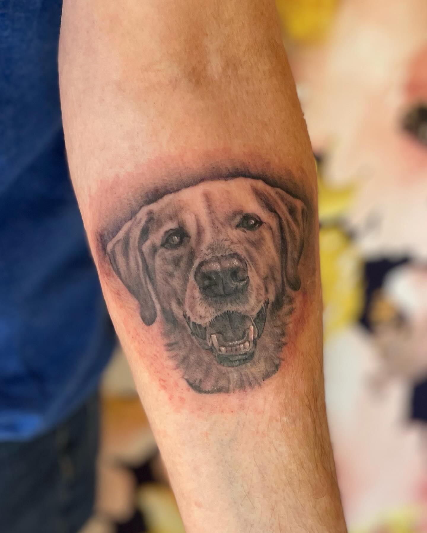 Dog realism tattoo on the forearm by paige  l  ink shrink tattoo