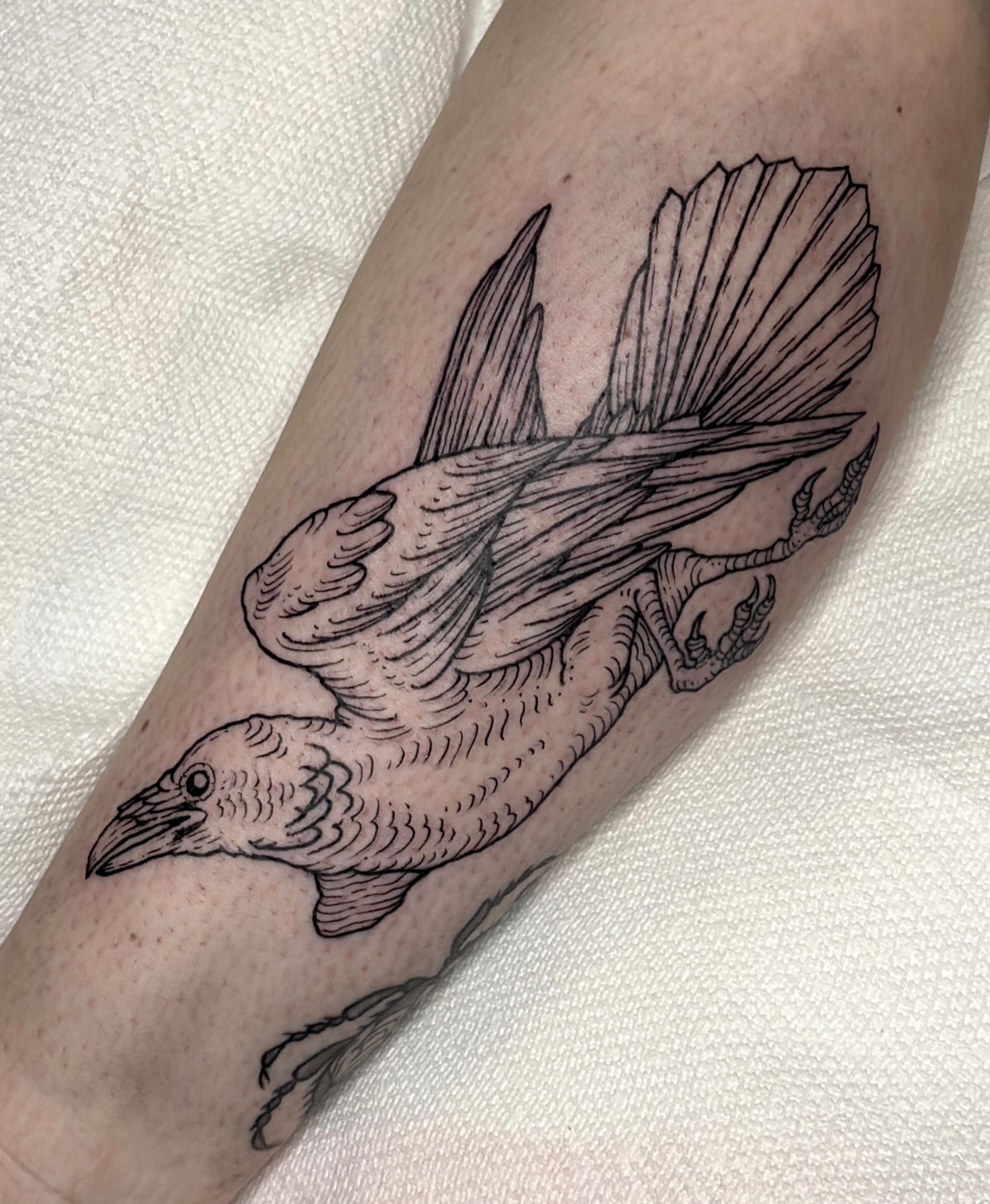 Crow black and grey tattoo on the forearm by Harlee Hornsby