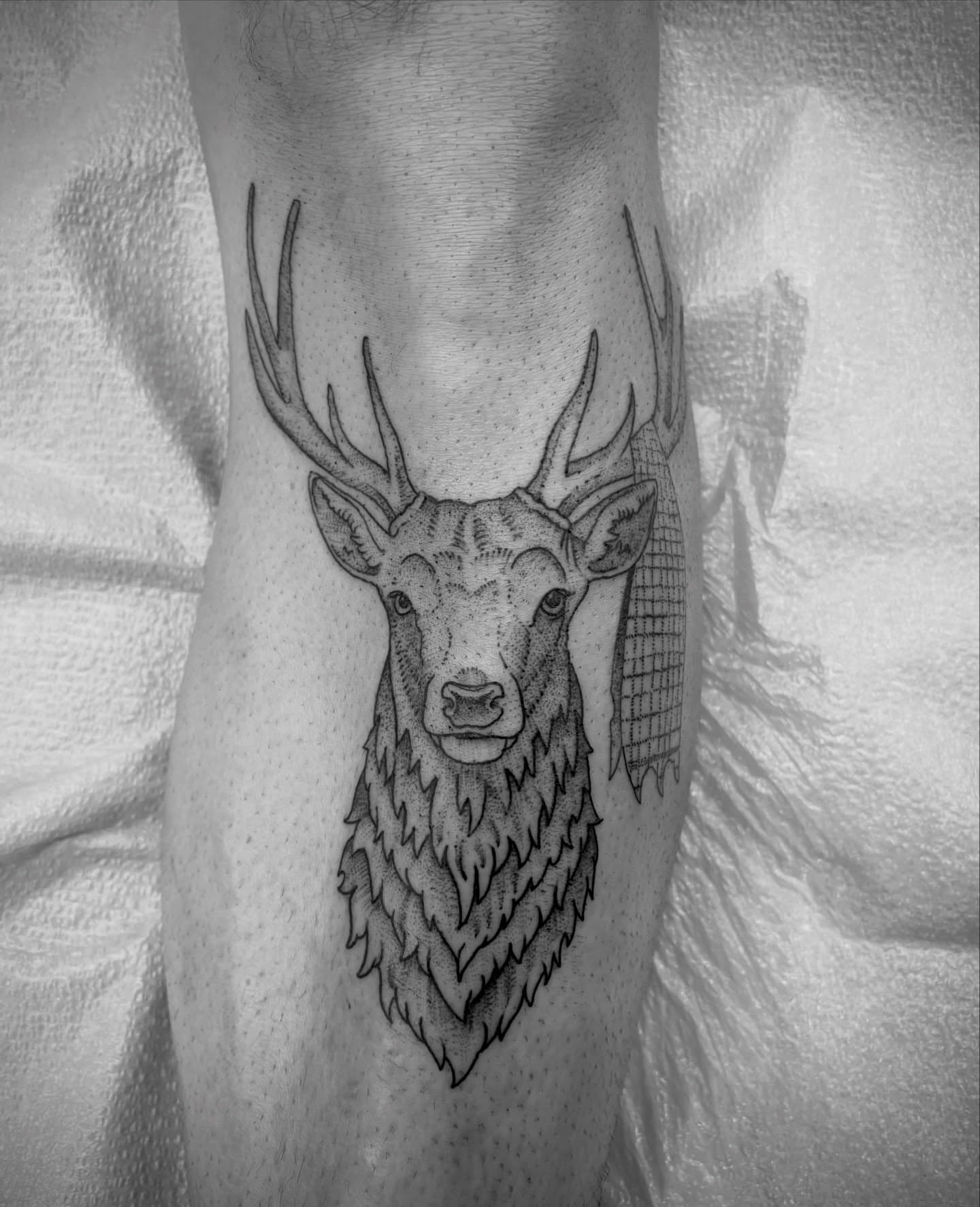 Stag head dotwork tattoo on the forearm by Jason Allen, Avondale, Arizona