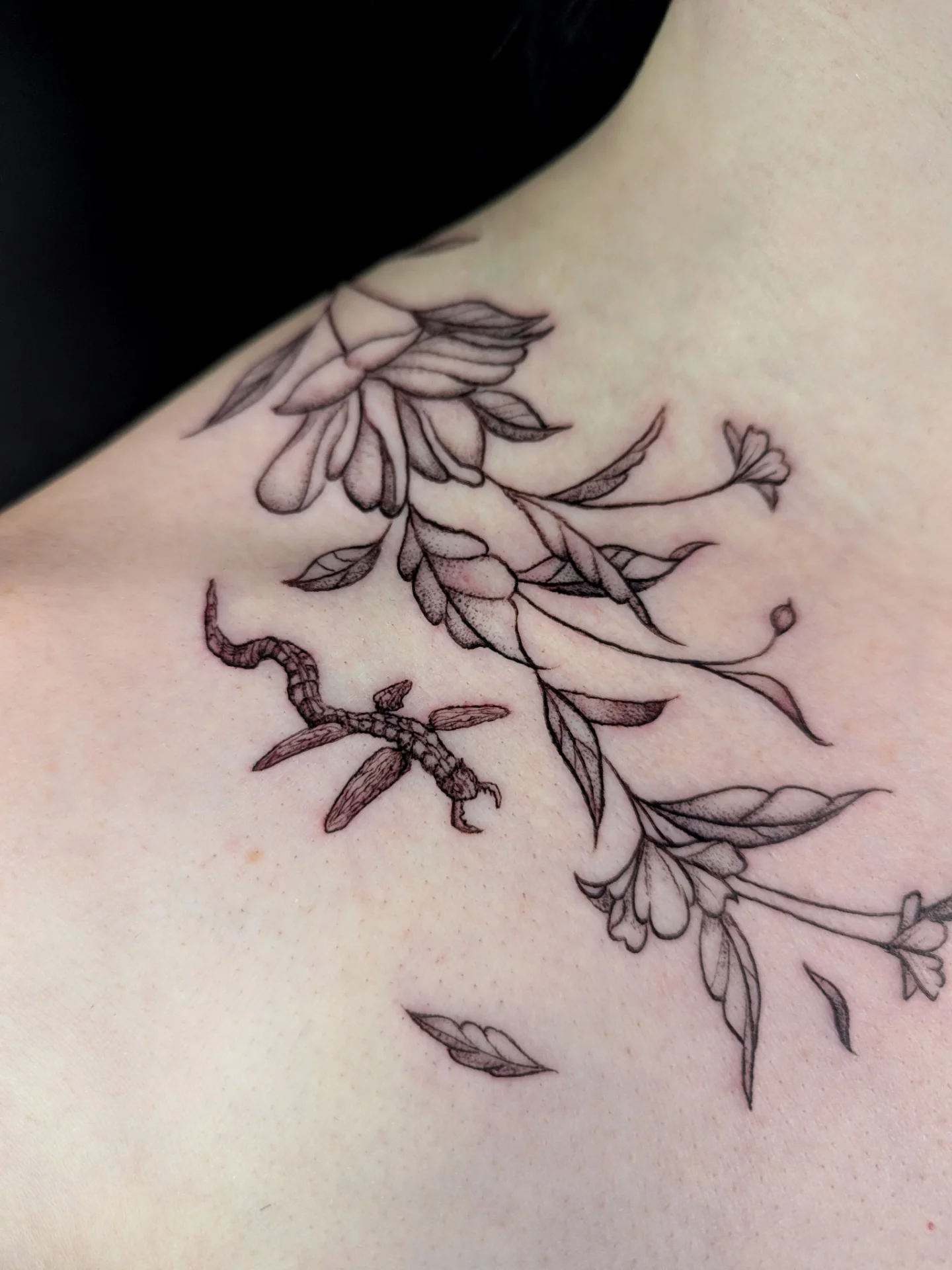 Tattoo by @fairytale_tattoos — black_and_grey