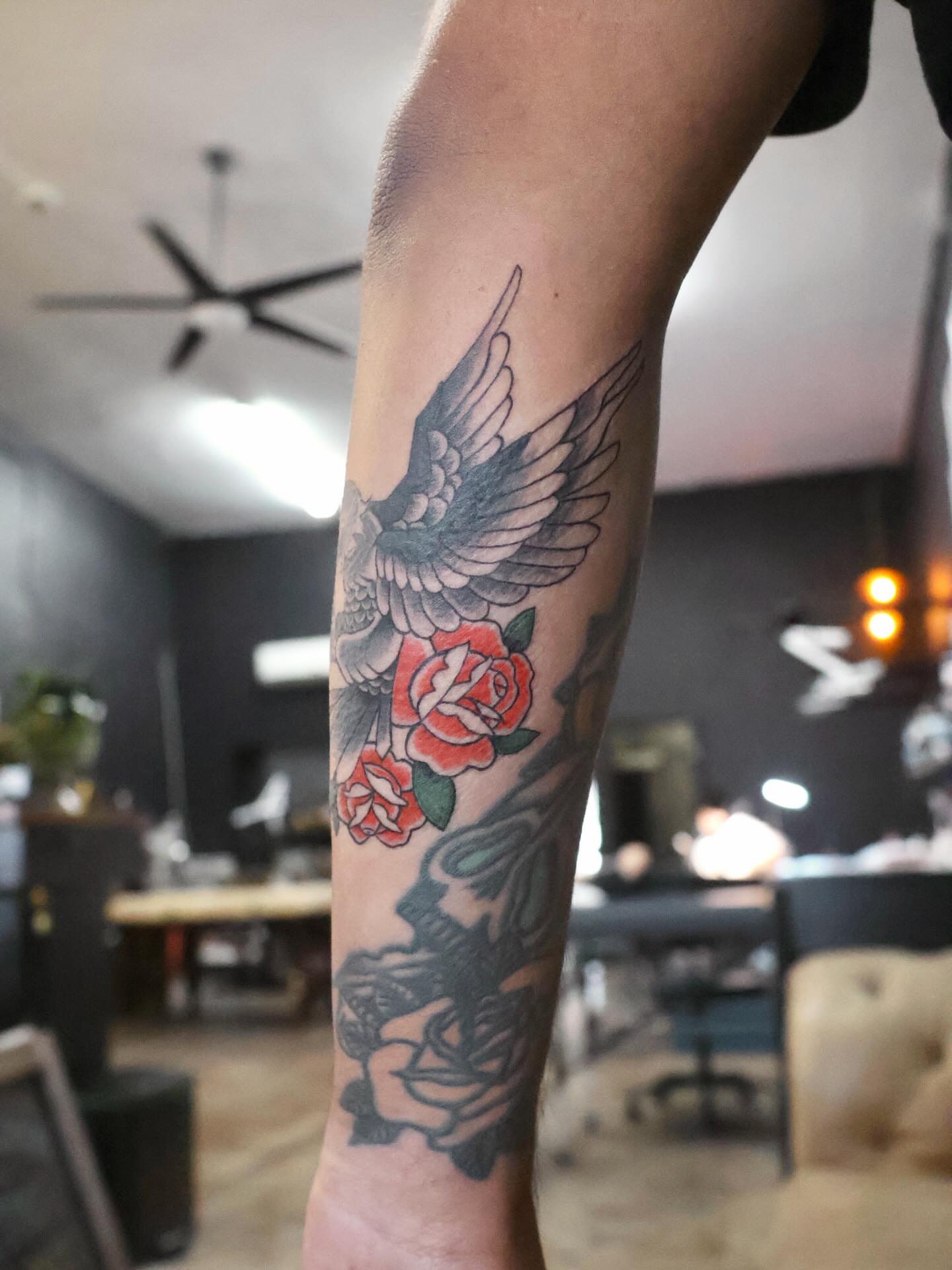 Bird and roses American traditional tattoo on the forearm by ๐๐๐โฆ้ชๆขจ๐