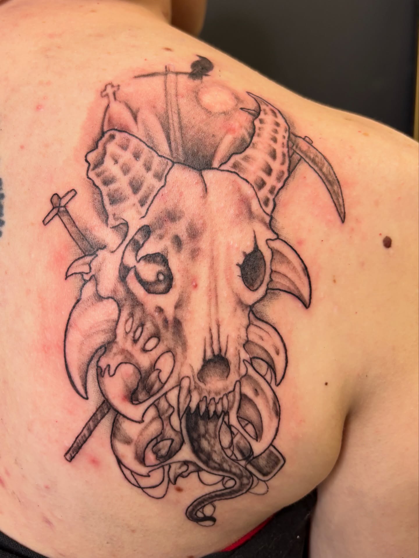Bull skull realism tattoo on the shoulder by Noah Blum