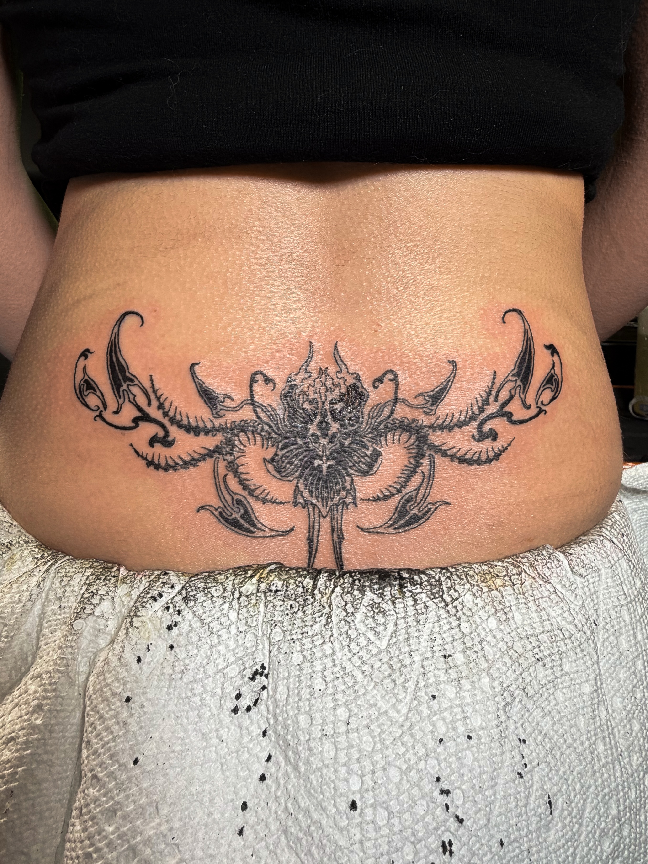 Spider black and grey tattoo on the torso by Tattoo Artist X Kamm, Salt Lake City, Utah