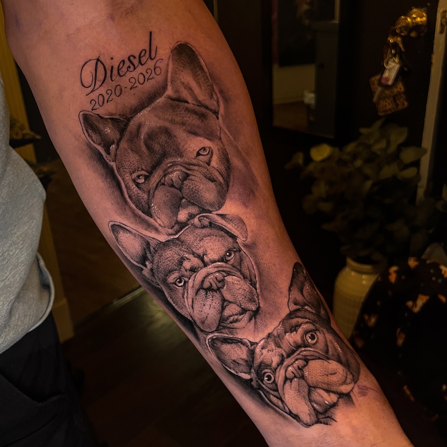 Bulldogs realism tattoo on the forearm by Erica Olivier