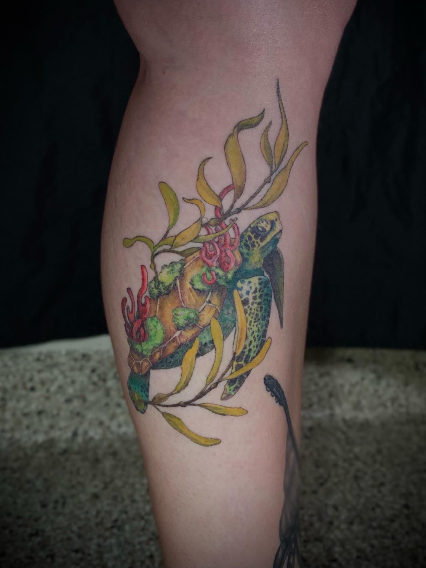 Sea turtle realism tattoo on the thigh by Olivia Scott - Kansas Tattoo Artist
