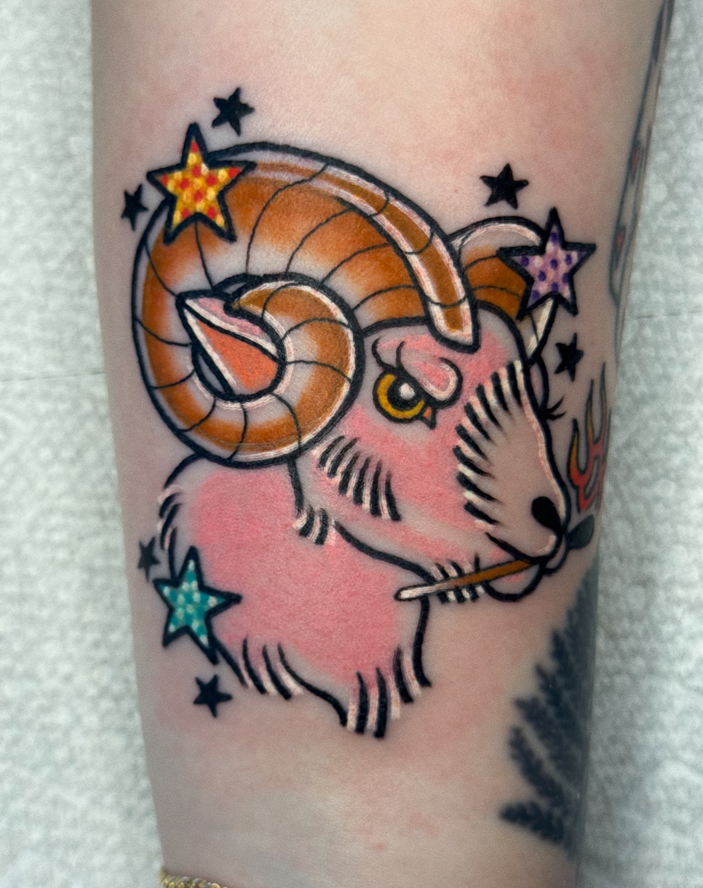Ram American traditional tattoo on the forearm by 𝕷𝖆𝖚𝖗 𝕷𝖆𝖚𝖗