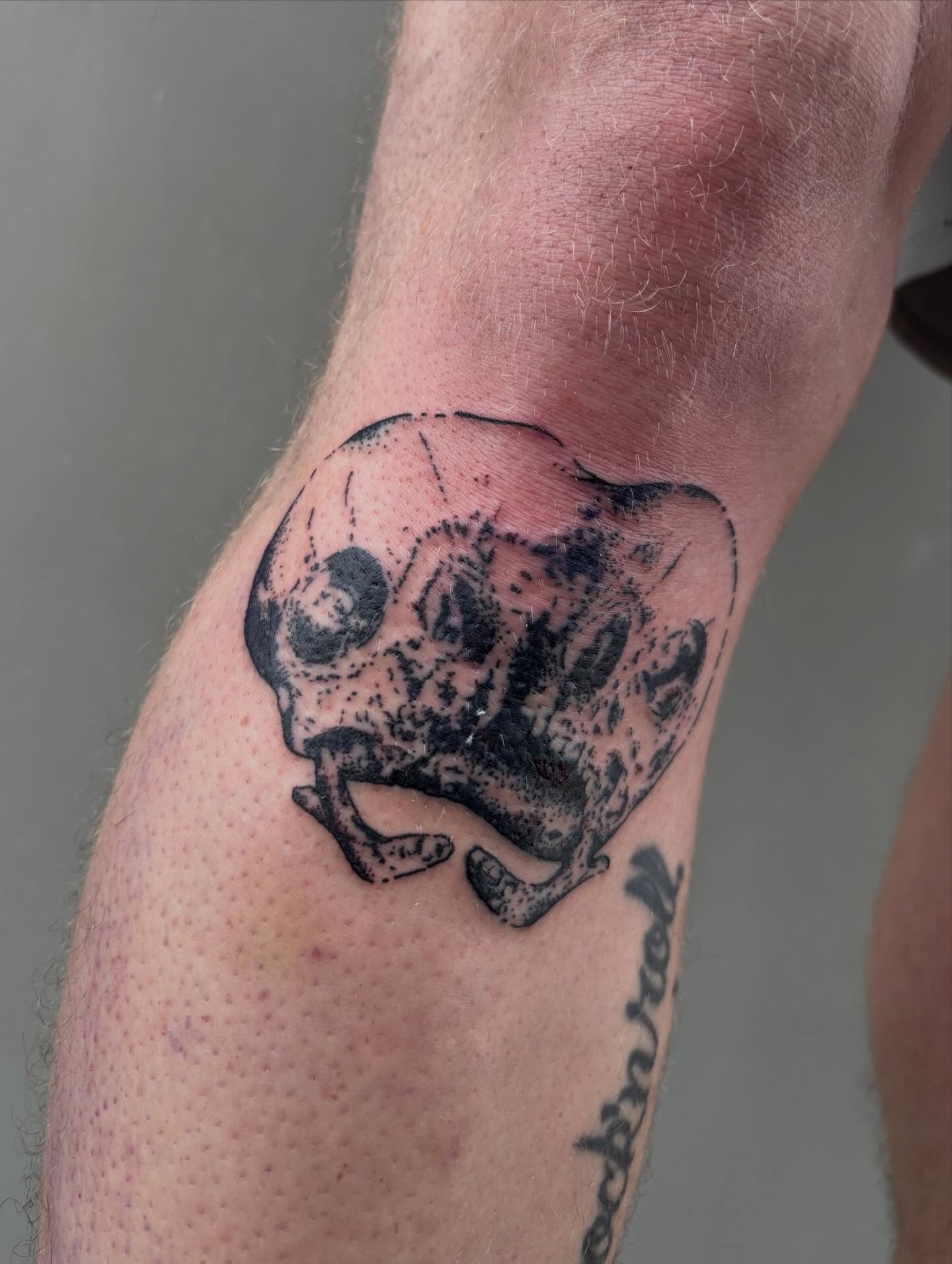 Skull dotwork tattoo on the forearm by Turner