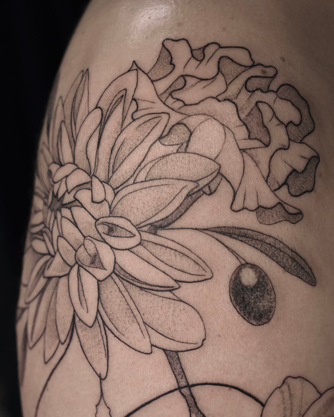 Chrysanthemum black and grey tattoo on the shoulder by Erin Isaacs