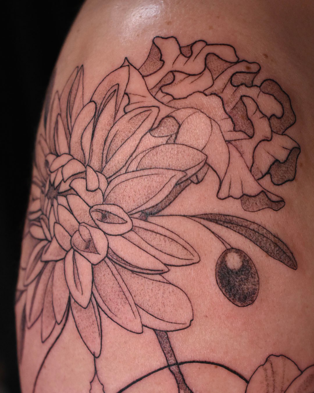 Chrysanthemum black and grey tattoo on the shoulder by Erin Isaacs