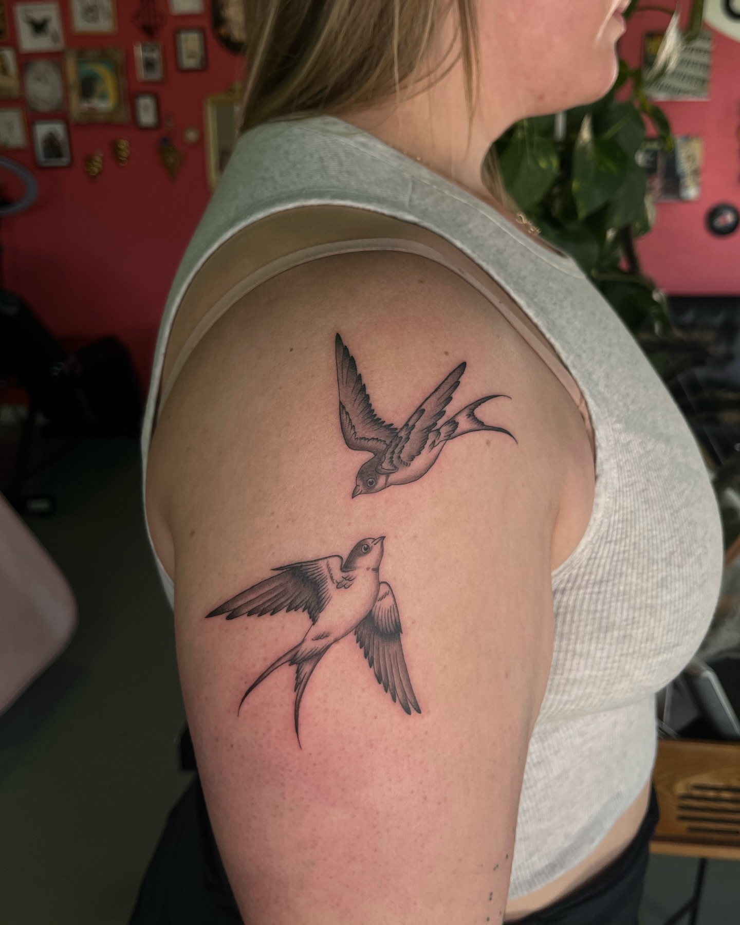 Swallows black and grey tattoo on the shoulder by Daniela