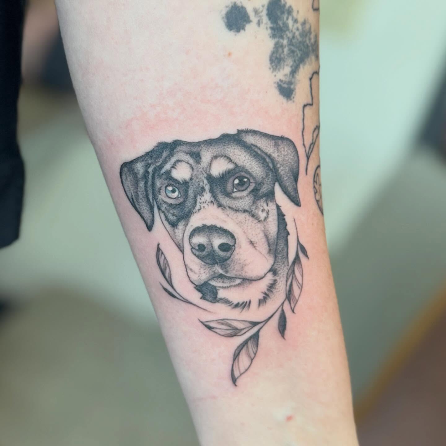 Dog portrait dotwork tattoo on the forearm by Rebecca Rose