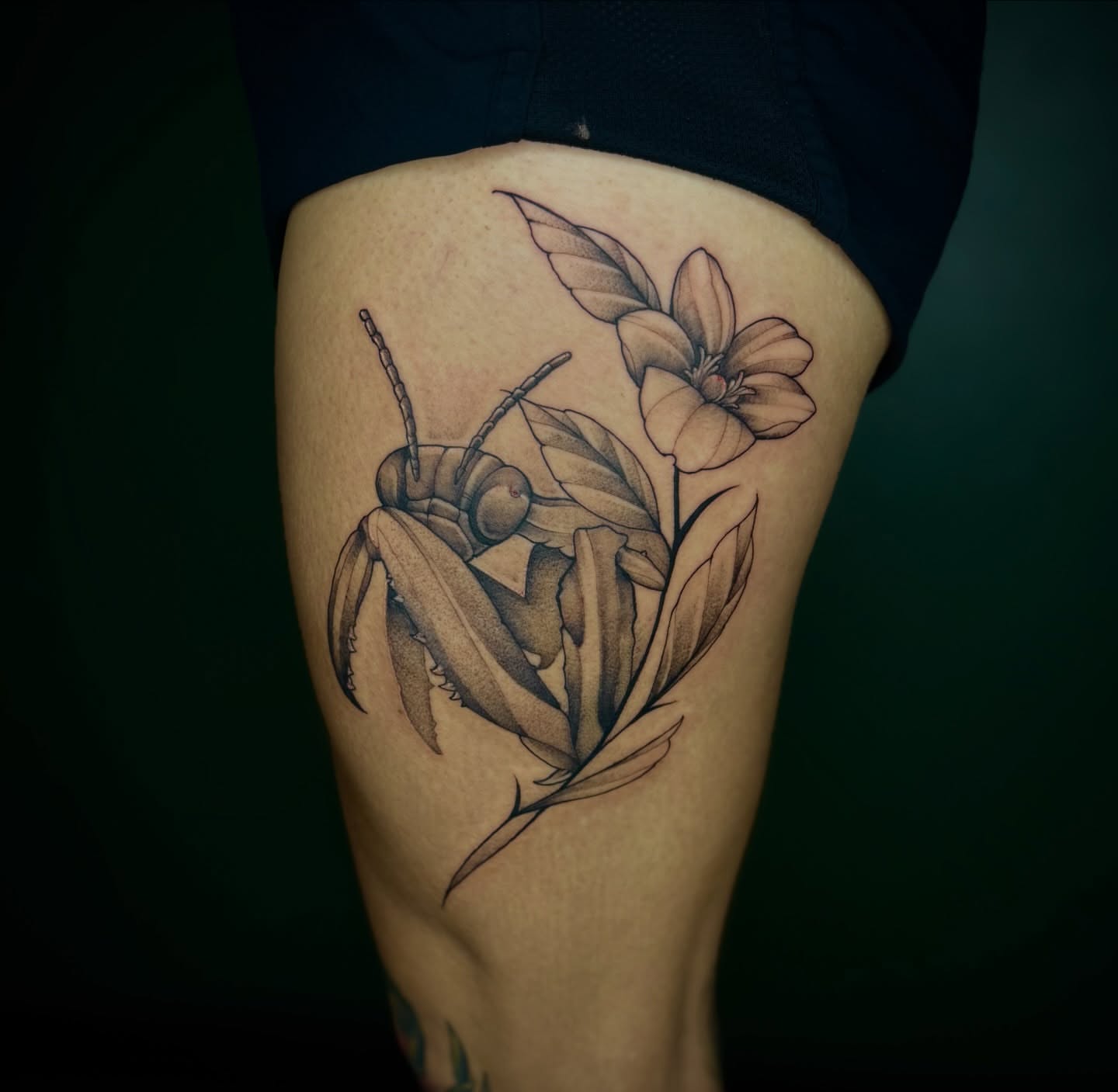 Insect and flower black and grey tattoo on the thigh by Marcus
