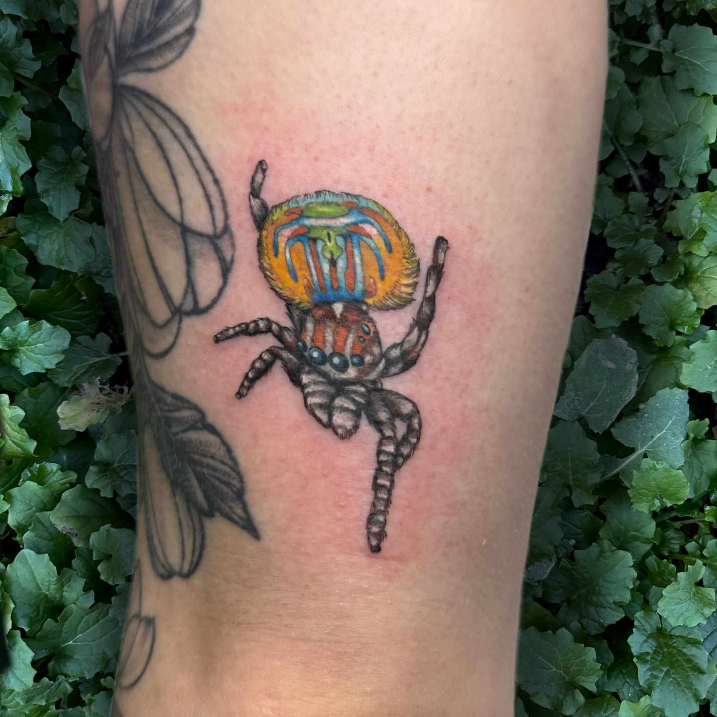 Tattoo by @moggtattoo β realism