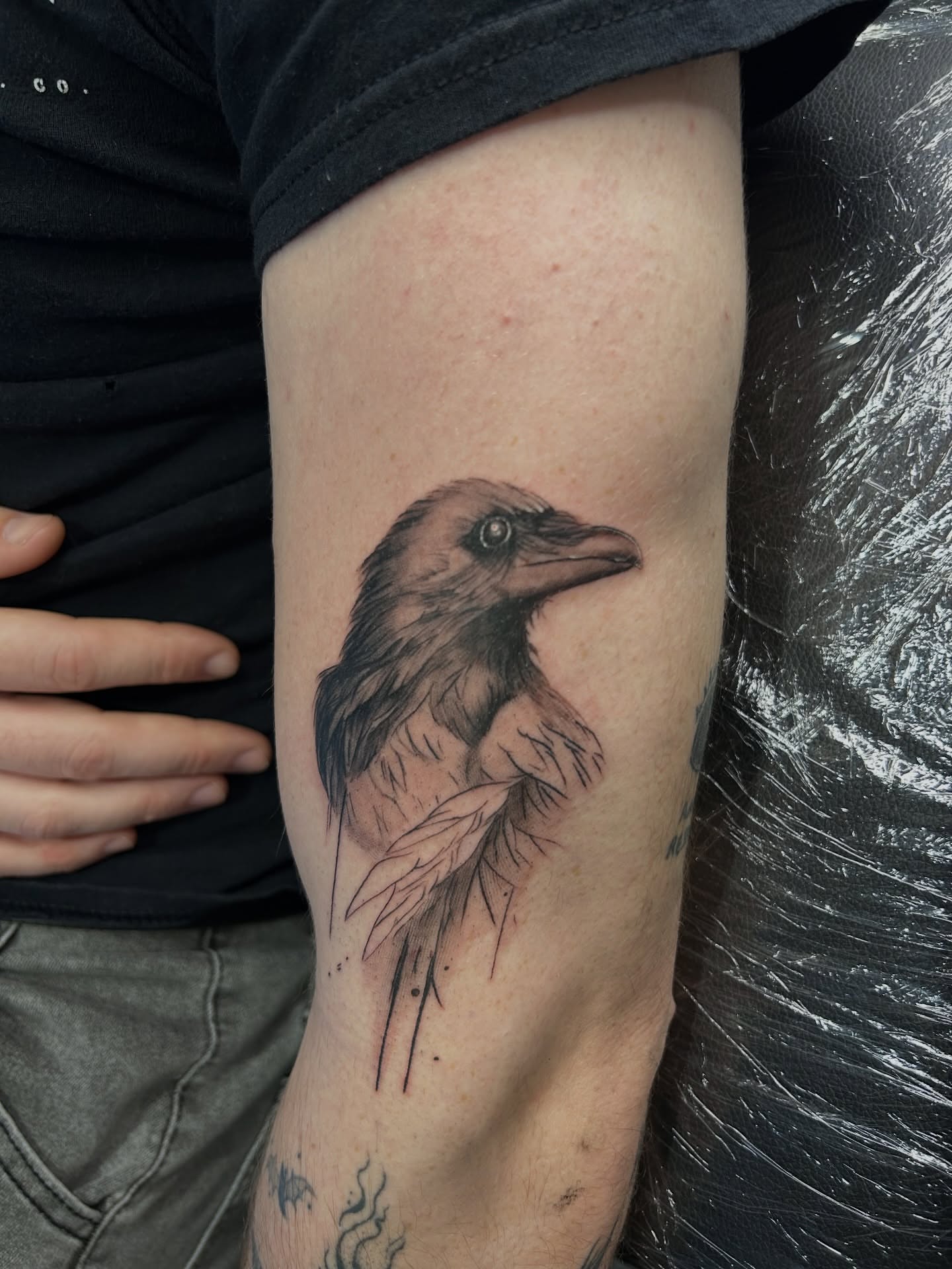 Crow realism tattoo on the forearm by Oto_art