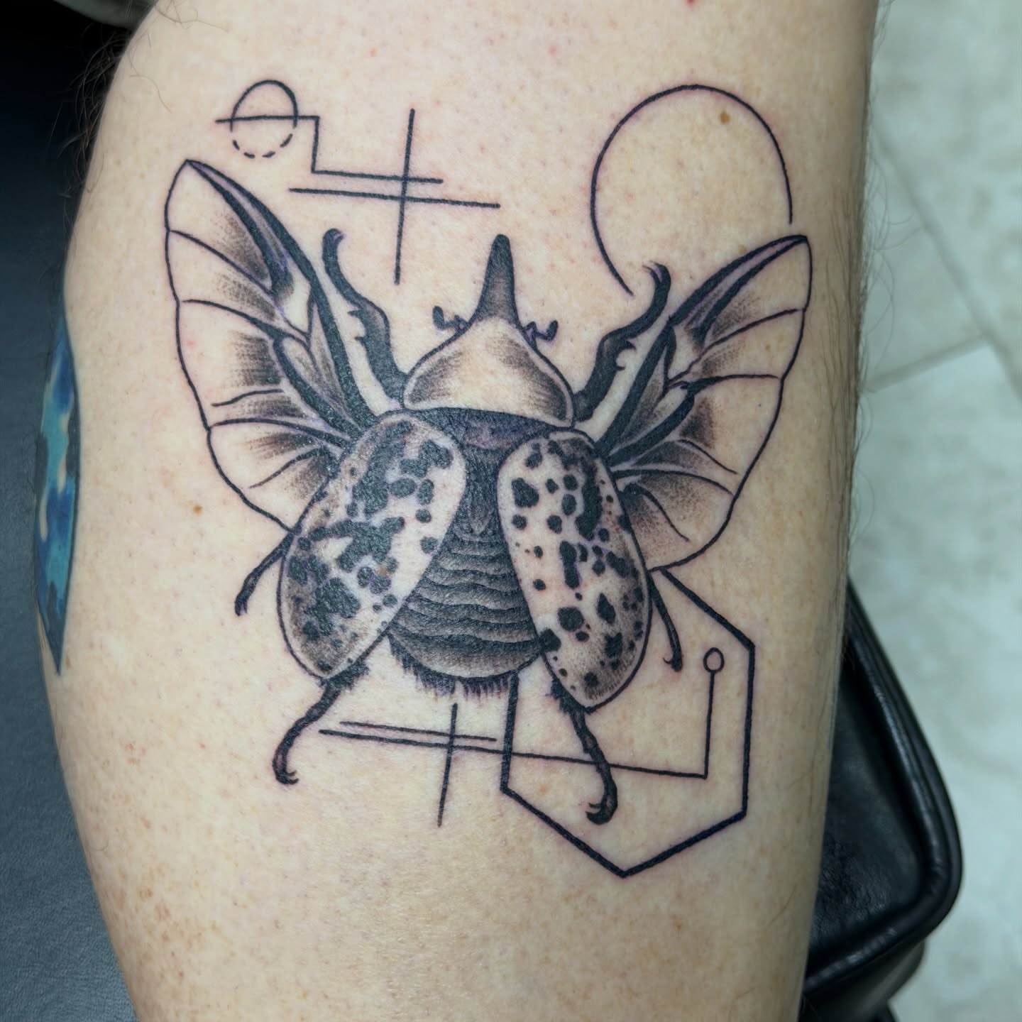 Scarab beetle realism tattoo on the thigh by Squid