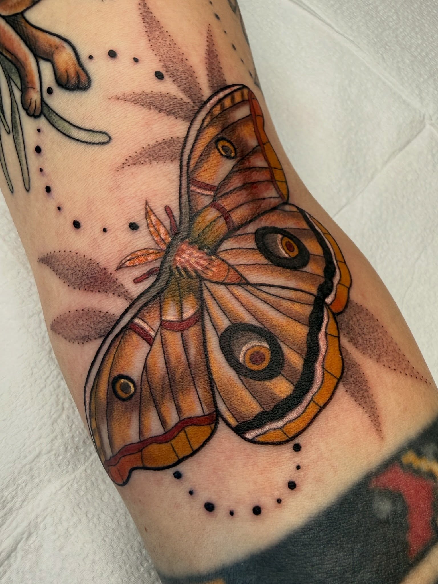 Butterfly realism tattoo on the forearm by AJ Jensen